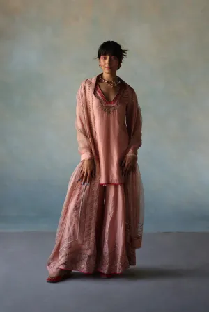 Gul Pastel Pink Silk Sharara Set